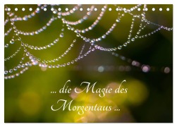 Cover-Bild zum Titel '... die Magie des Morgentaus ... (Tischkalender 2026 DIN A5 quer), CALVENDO Monatskalender' von 'Frances Kron'