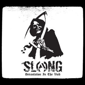 Devastation In The Void - Slang