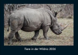 Cover-Bild zum Titel 'Tiere in der Wildnis 2026 Fotokalender DIN A4' von 'Tobias Becker'