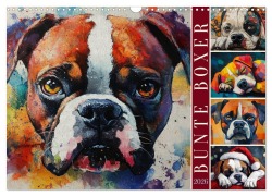 Cover-Bild zum Titel 'Bunte Boxer (Wandkalender 2026 DIN A3 quer), CALVENDO Monatskalender' von 'Sabine Löwer'