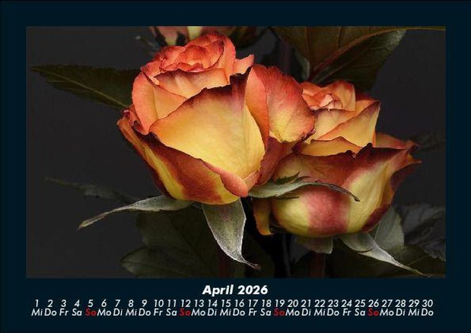 InsideView 8
