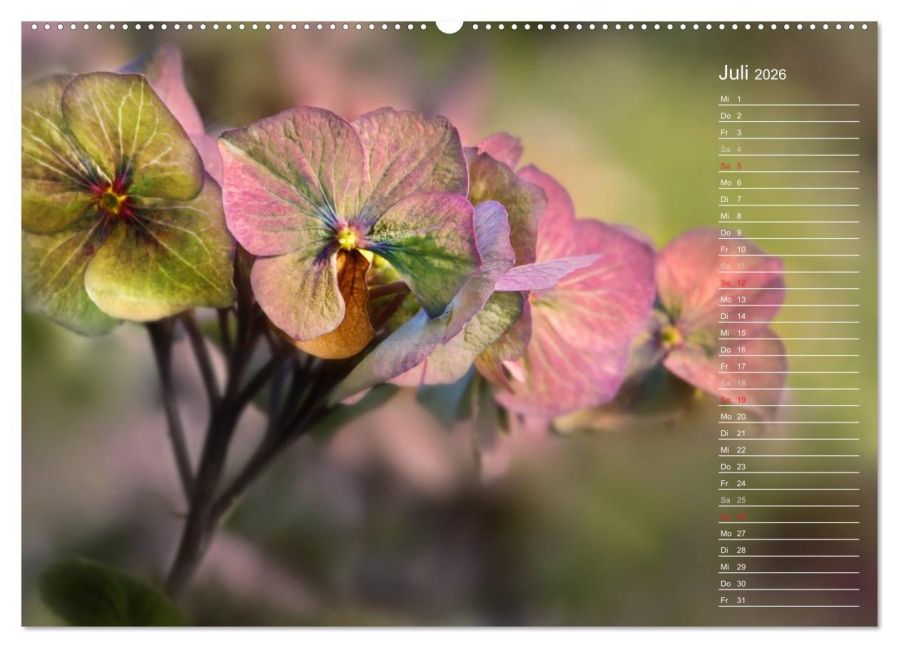 InsideView 11