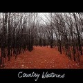 Cover-Bild zum Titel 'Country Westerns' von 'Country Westerns'