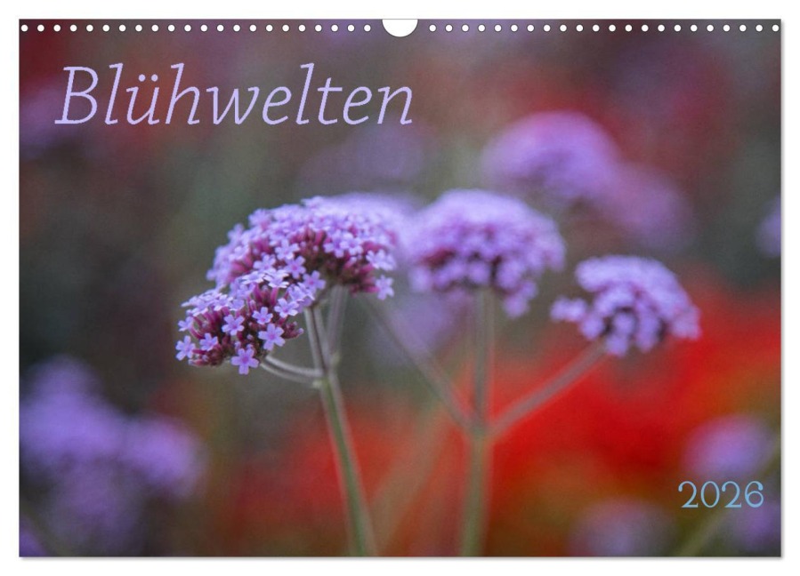 Blühwelten (Wandkalender 2026 DIN A3 quer), CALVENDO Monatskalender - Evelyn Taubert