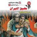 Cover-Bild zum Titel 'The rash of fire' von 'Nabil Farouk'