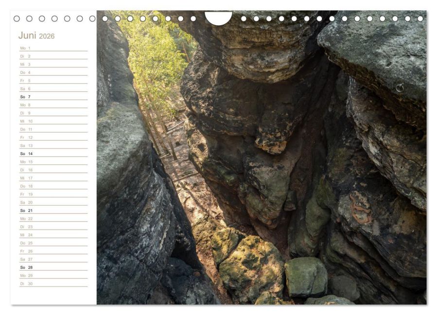 InsideView 11