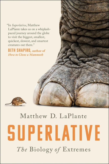 Superlative - Matthew D Laplante