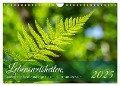 Lebensweisheiten, motivierende Sprüche und kluge Zitate mit Bildern der Natur (Wandkalender 2025 DIN A4 quer), CALVENDO Monatskalender - Angela Rohde