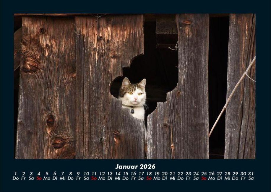 InsideView 5