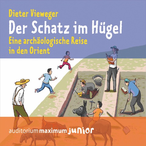 Der Schatz im Hügel - Dieter Vieweger