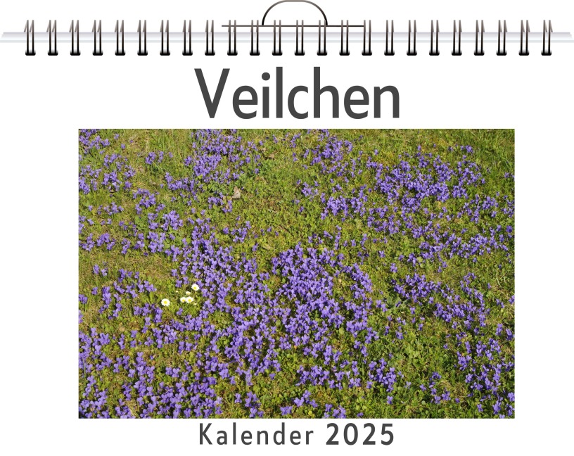 Veilchen - Luisa Hartmann
