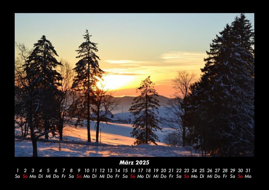 InsideView 7