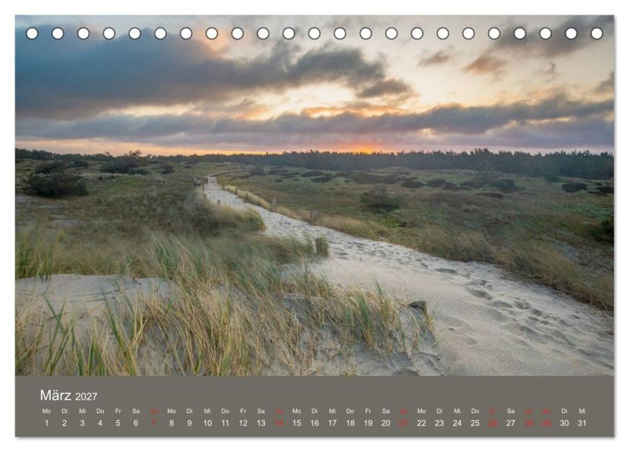 InsideView 8