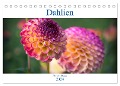 Dahlien - Blumenwunder der Natur (Tischkalender 2024 DIN A5 quer), CALVENDO Monatskalender - Norbert Stojke