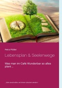 Cover-Bild zum Titel 'Lebensplan & Seelenwege' von 'Petra Plößer'