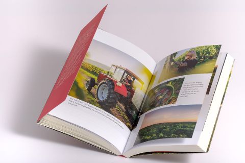 InsideView 7