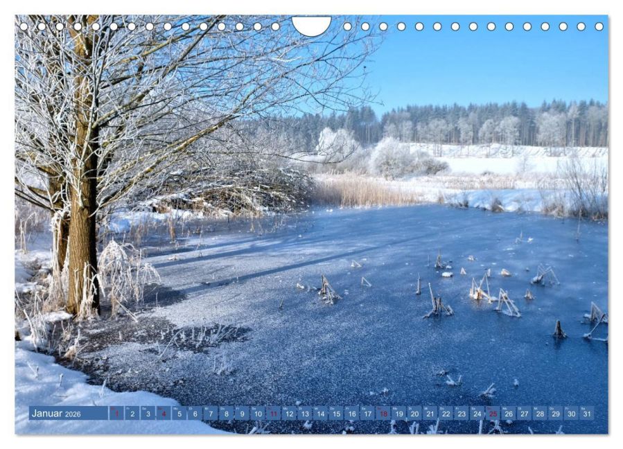 InsideView 6