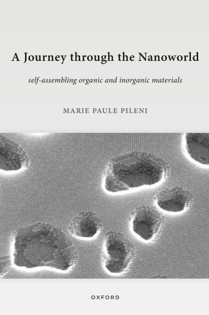 A Journey through the Nanoworld - Marie Paule Pileni