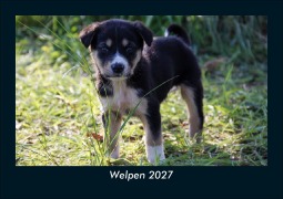Cover-Bild zum Titel 'Welpen 2027 Fotokalender DIN A5' von 'Tobias Schmitt, Kevin Heber'