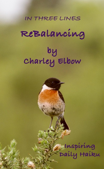 ReBalancing: Inspiring Daily Haiku (In Three Lines) - Charley Elbow