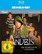 Cover-Bild zum Titel 'Das Haus Anubis' von 'Jeroen van der Zee, Susanne Biesinger'