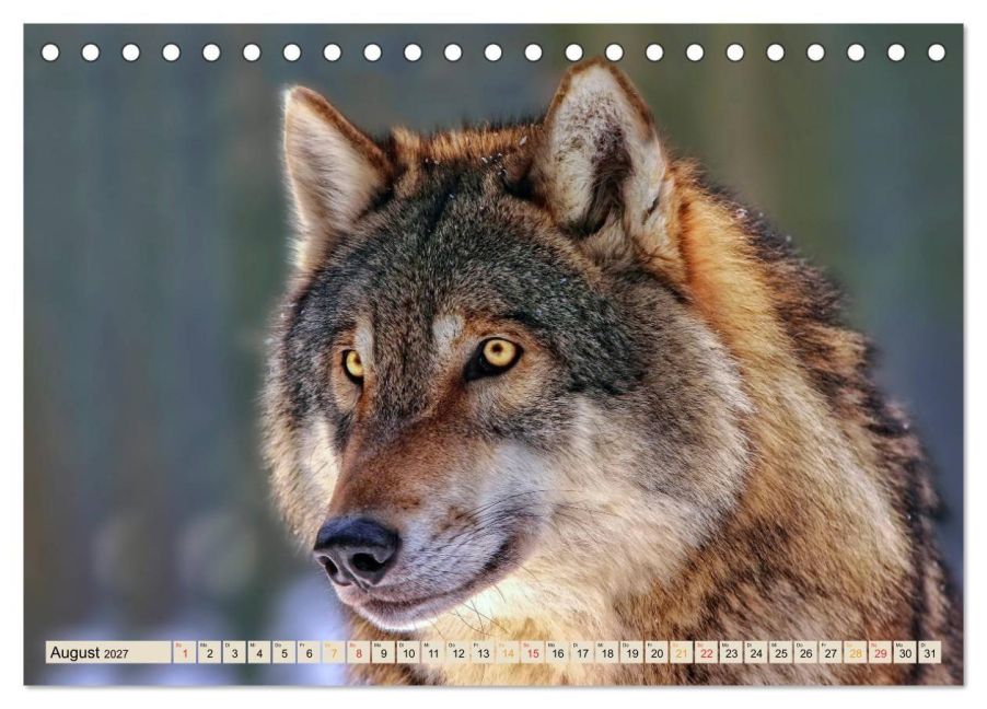 InsideView 13
