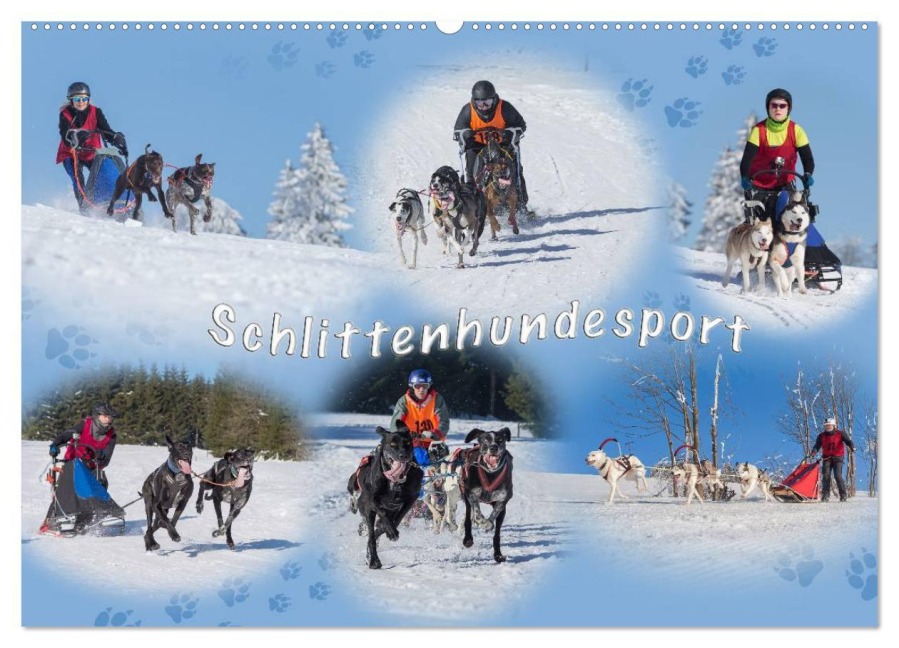 Schlittenhundesport (Wandkalender 2025 DIN A2 quer), CALVENDO Monatskalender - Heiko Eschrich - Heschfoto