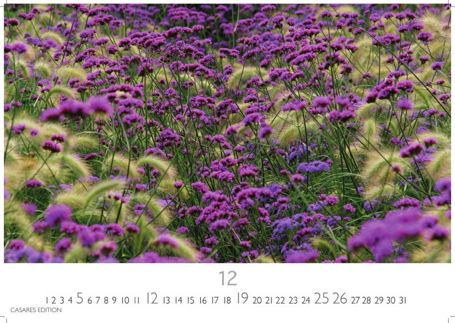 InsideView 12