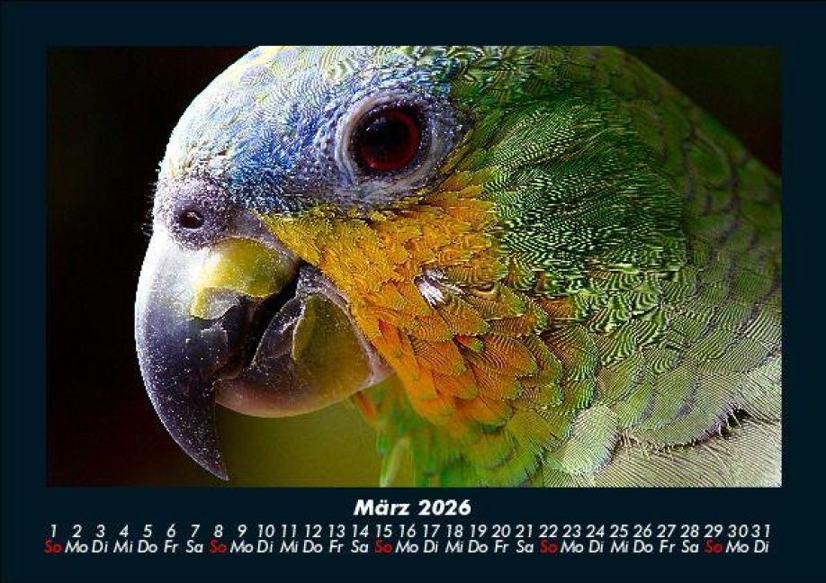 InsideView 7