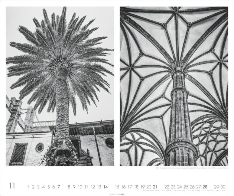 InsideView 11