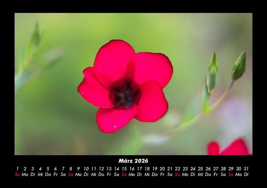InsideView 7