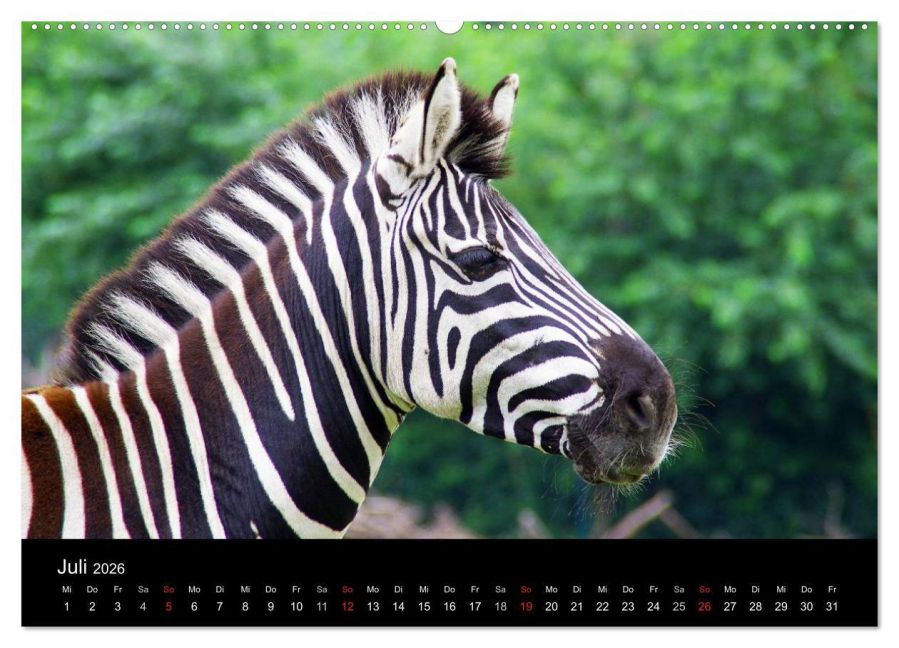 InsideView 11