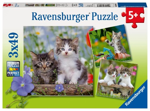 Süße Samtpfötchen - Puzzle 3 x 49 Teile - 