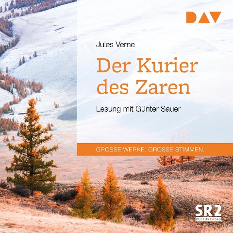 Der Kurier des Zaren - Jules Verne