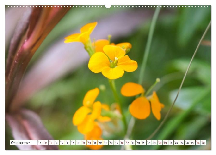 InsideView 2