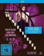 Cover-Bild zum Titel 'Die Wendeltreppe' von 'Mel Dinelli, Ethel Lina White, Roy Webb'