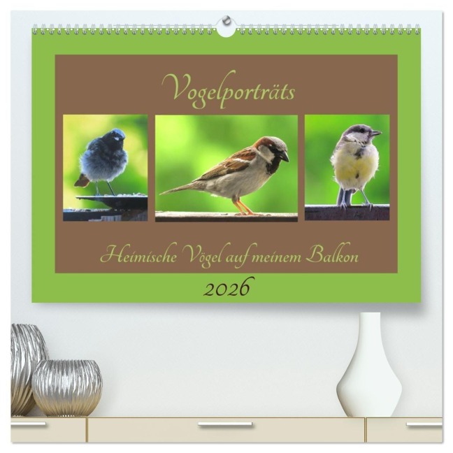 Vogelporträts - Heimische Vögel auf meinem Balkon (hochwertiger Premium Wandkalender 2026 DIN A2 quer), Kunstdruck in Hochglanz - Claudia Schimmack
