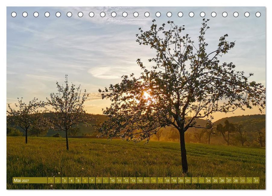 InsideView 10
