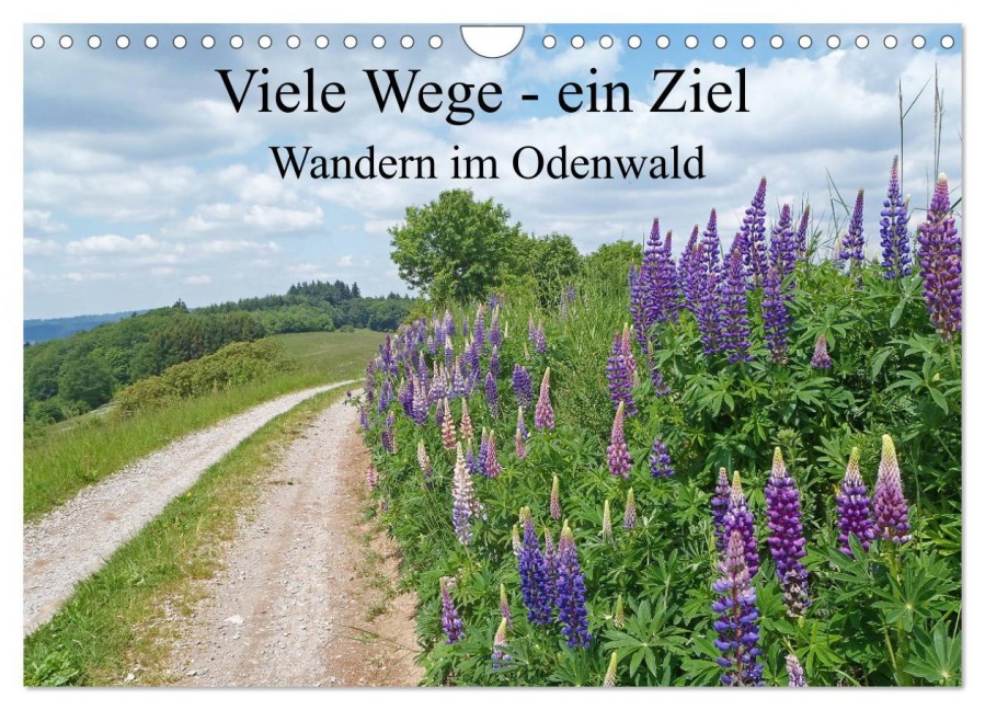 Viele Wege - ein Ziel Wandern im Odenwald (Wandkalender 2025 DIN A4 quer), CALVENDO Monatskalender - Ilona Andersen