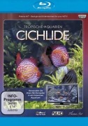 Cover-Bild zum Titel 'Tropische Aquarien - Cichlide' von ''