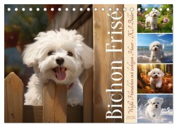 Cover-Bild zum Titel 'Bichon frisé, weiße Hündchen mit lockigem Haar (Tischkalender 2026 DIN A5 quer), CALVENDO Monatskalender' von 'Sabine Löwer'