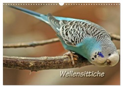 Wellensittiche (Wandkalender 2026 DIN A3 quer), CALVENDO Monatskalender - Barbara Mielewczyk