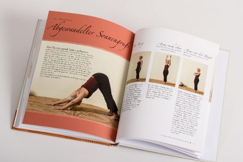 InsideView 3