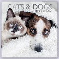 Cats & Dogs - Katzen & Hunde 2024 - 16-Monatskalender - Gifted Stationery Co. Ltd