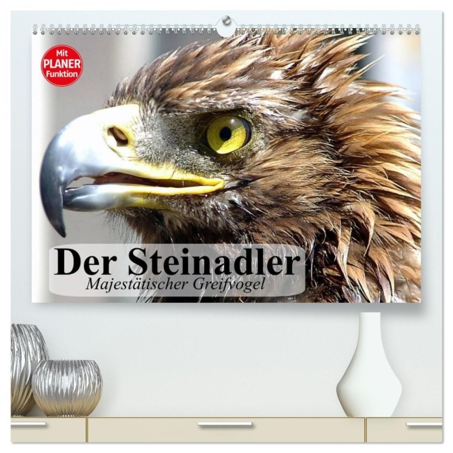 Der Steinadler. Majestätischer Greifvogel (hochwertiger Premium Wandkalender 2026 DIN A2 quer), Kunstdruck in Hochglanz - Elisabeth Stanzer