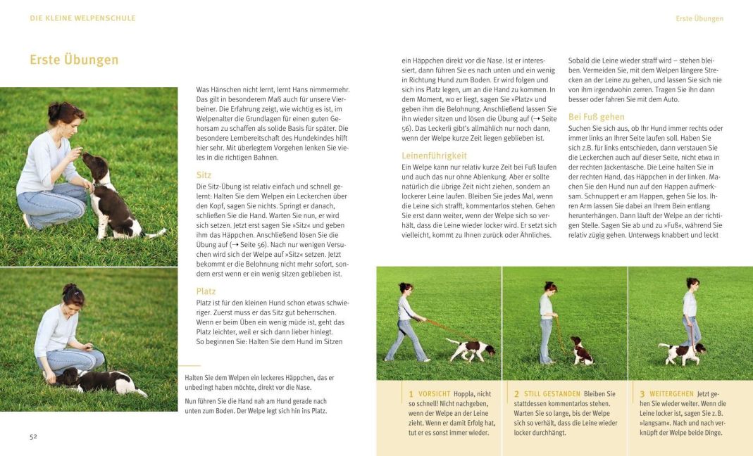 InsideView 5