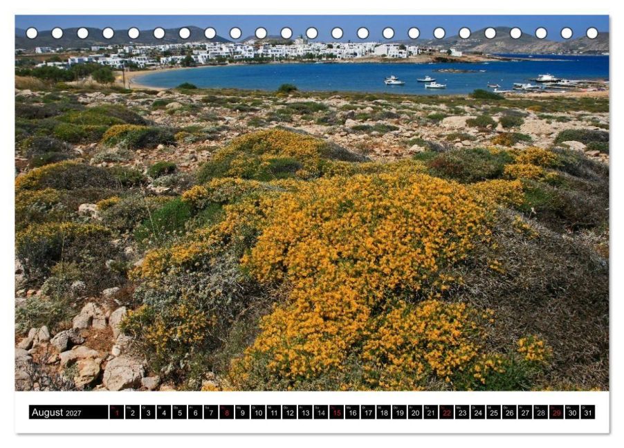 InsideView 13