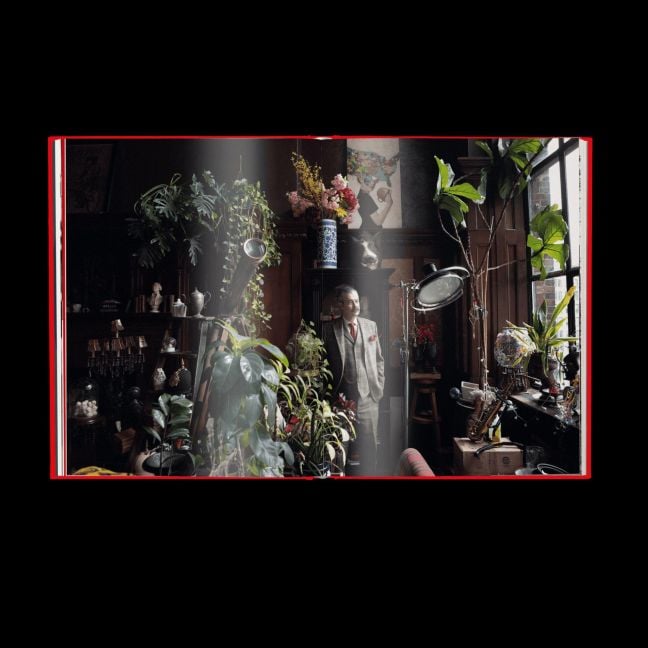 InsideView 6