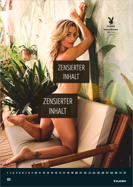 InsideView 2