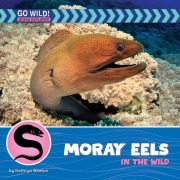 Cover-Bild zum Titel 'Moray Eels in the Wild' von 'Kathryn Beaton'